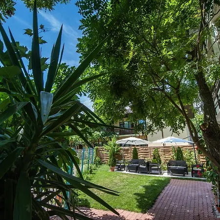 Casa Amur 招待所 3*