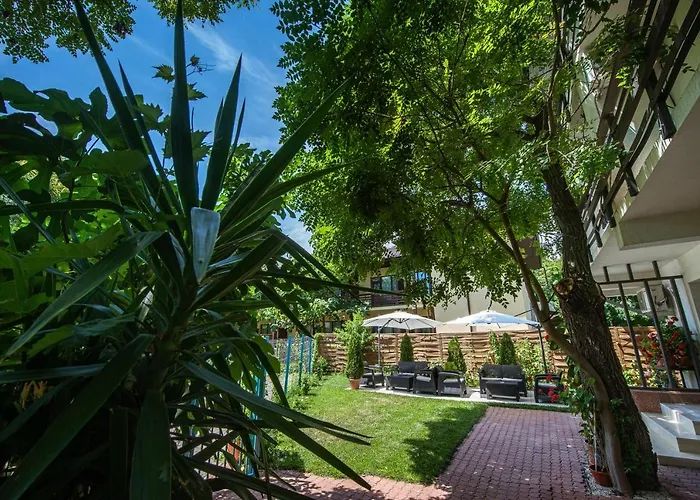 Casa Amur 招待所 3*